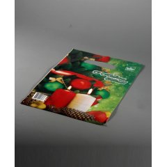 Пакет ВНУР 20см*30см(+0)*30мкм, 