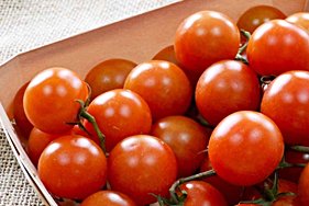 Упаковка для черри - какую выбрать?
